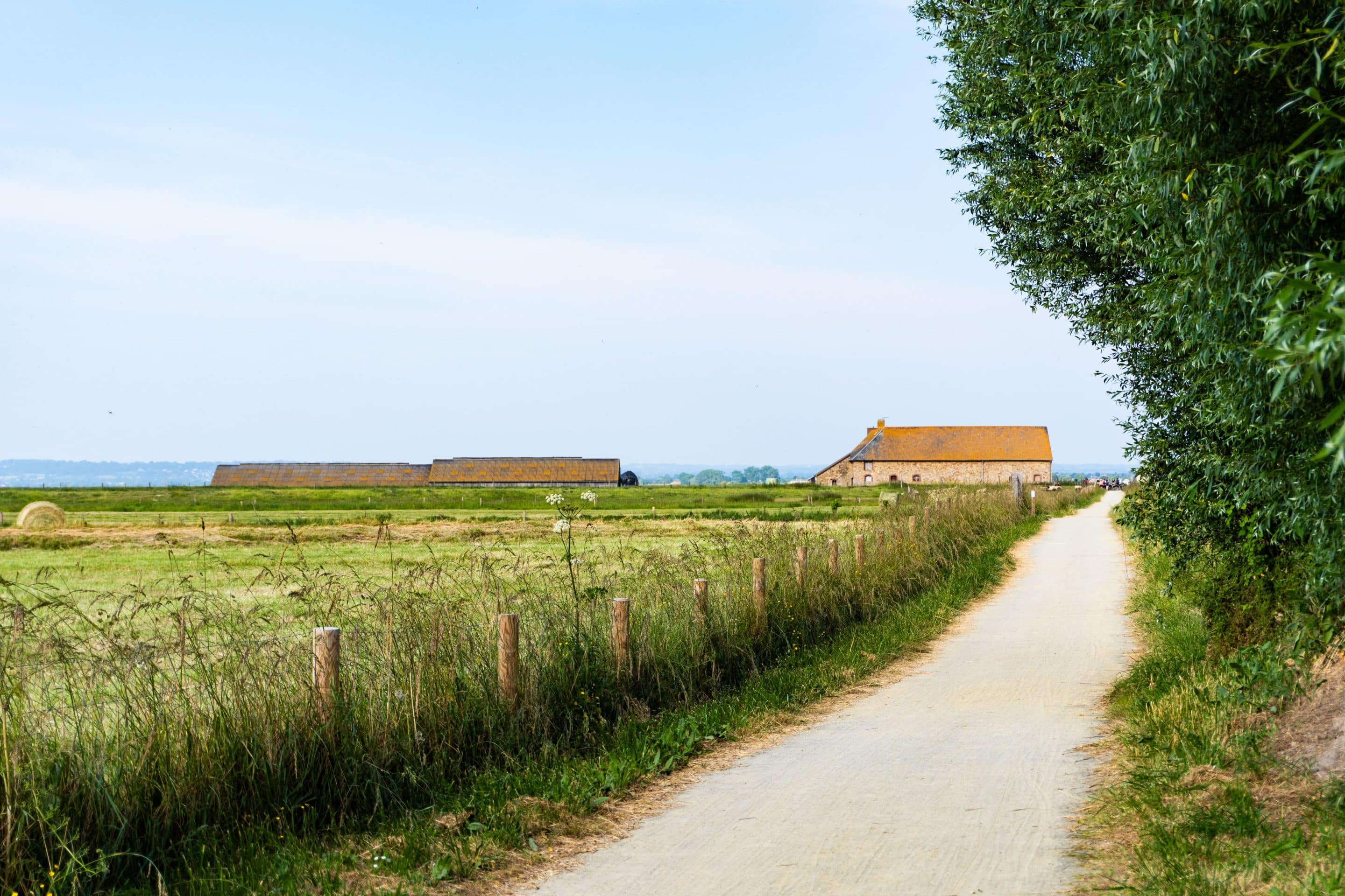 Chemin rural classé comme voie communale, essentiel pour la gestion de la voirie dans une zone agricole.