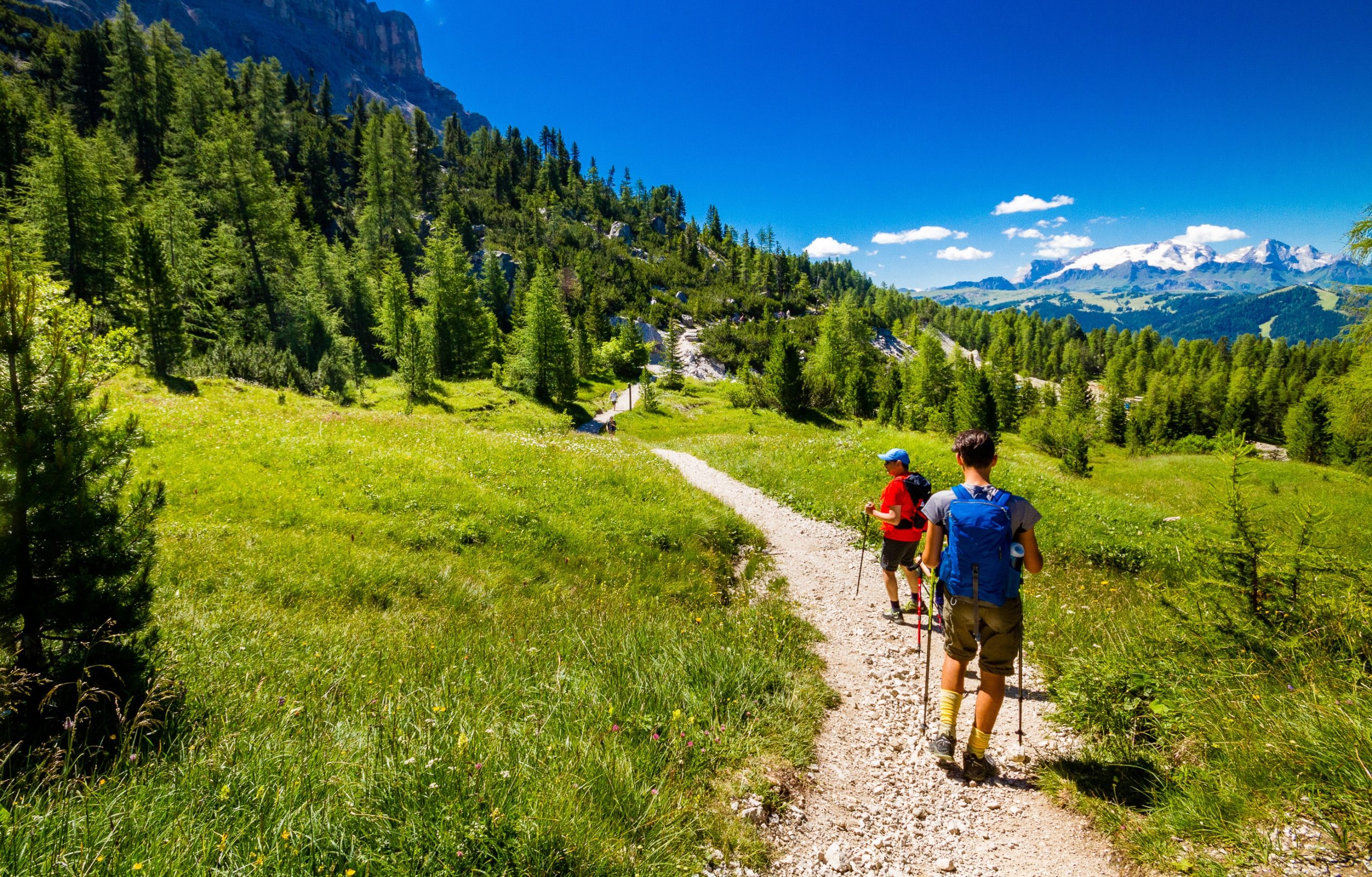 Randonnée dans les Alpes