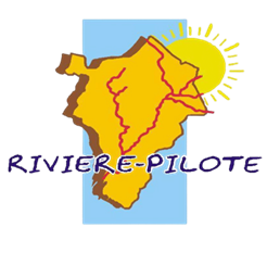 Rivière-Pilote travaille avec Geoptis pour inventorier et qualifier tout son linéaire de voirie